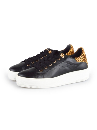 Cellini Sneakers