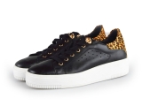 Cellini Sneakers