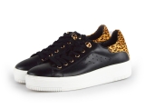 Cellini Sneakers