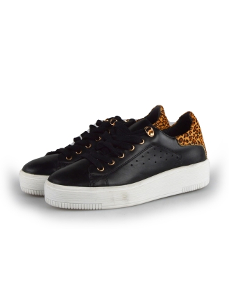 Cellini Sneakers