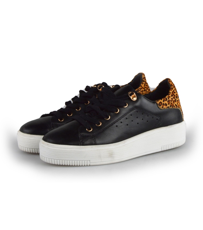 Cellini Sneakers