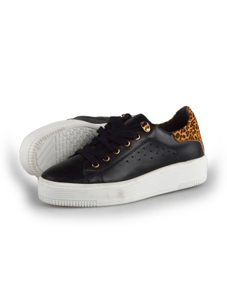 Cellini Sneakers