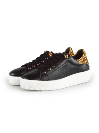 Cellini Sneakers