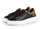 Cellini Sneakers