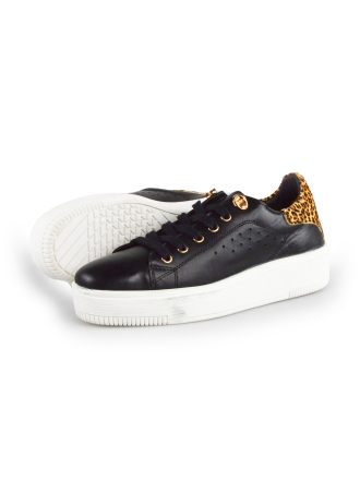 Cellini Sneakers