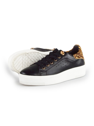 Cellini Sneakers