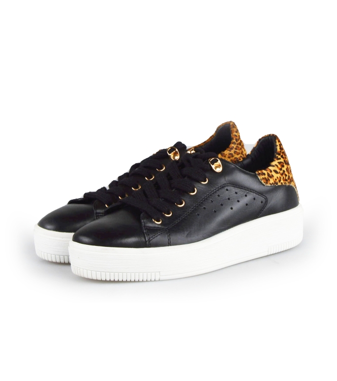 Cellini Sneakers