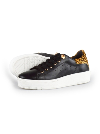 Cellini Sneakers