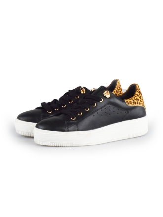 Cellini Sneakers