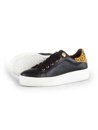 Cellini Sneakers