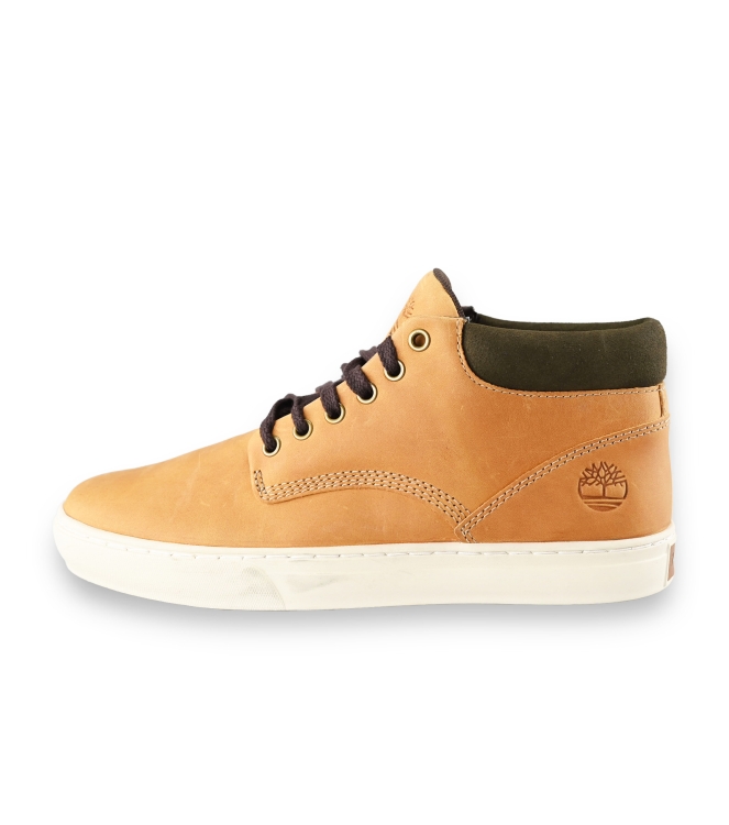 Timberland Sneakers