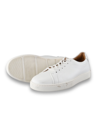 Steve Madden Sneakers