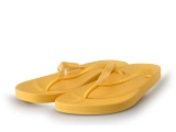 Ipanema Slippers