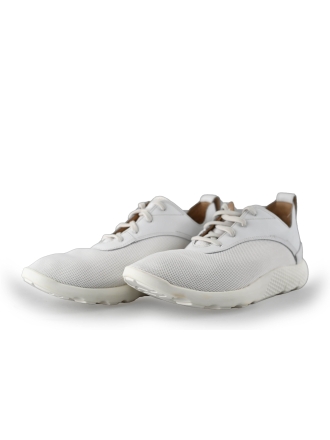 Timberland Sneakers Wit 214920
