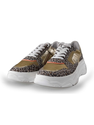 Omoda Sneakers Panter 218653
