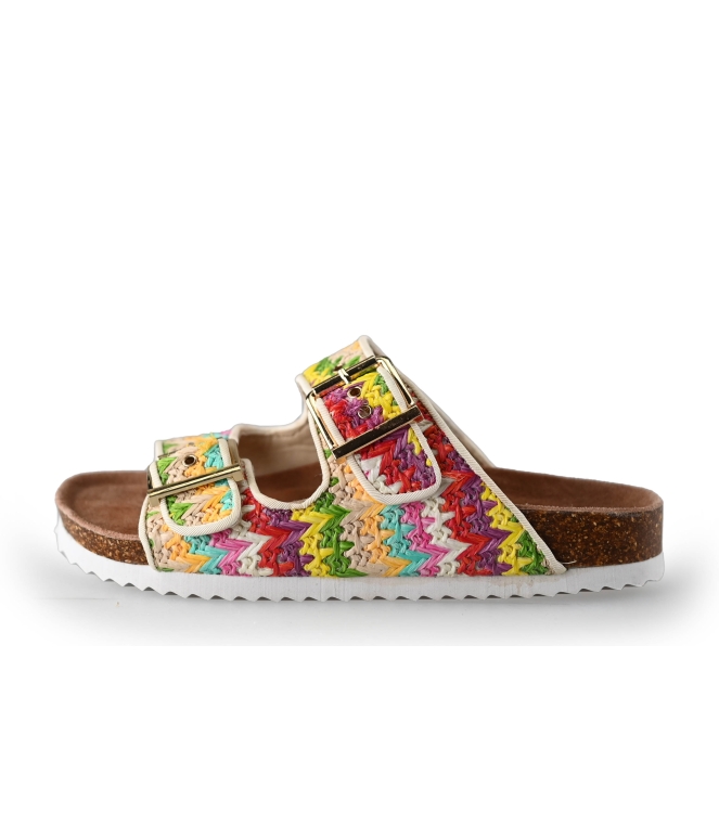 Colors of California Slippers