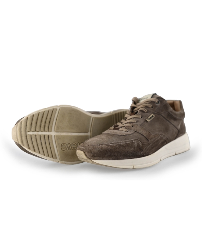 Greve Sneakers