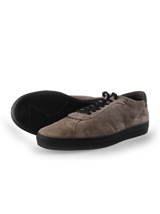 Greve Sneakers