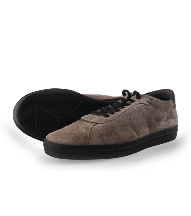 Greve Sneakers