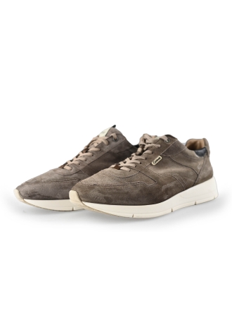 Greve Sneakers Bruin 221444