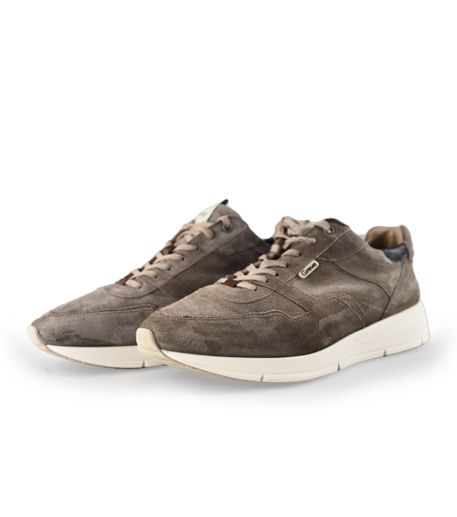 Greve Sneakers