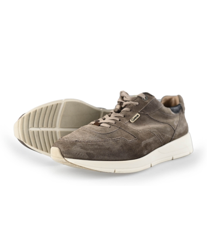 Greve Sneakers