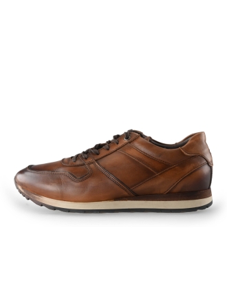 Greve Sneakers Bruin 221469