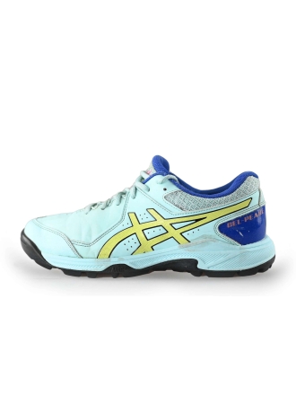 Asics Sportschoenen Blauw 222133