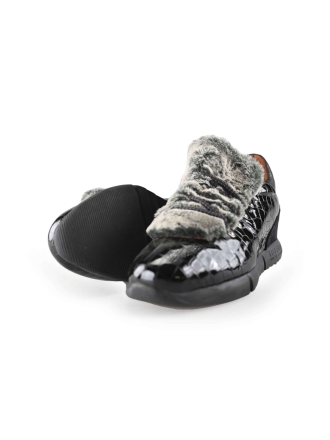 Hispanitas Instappers