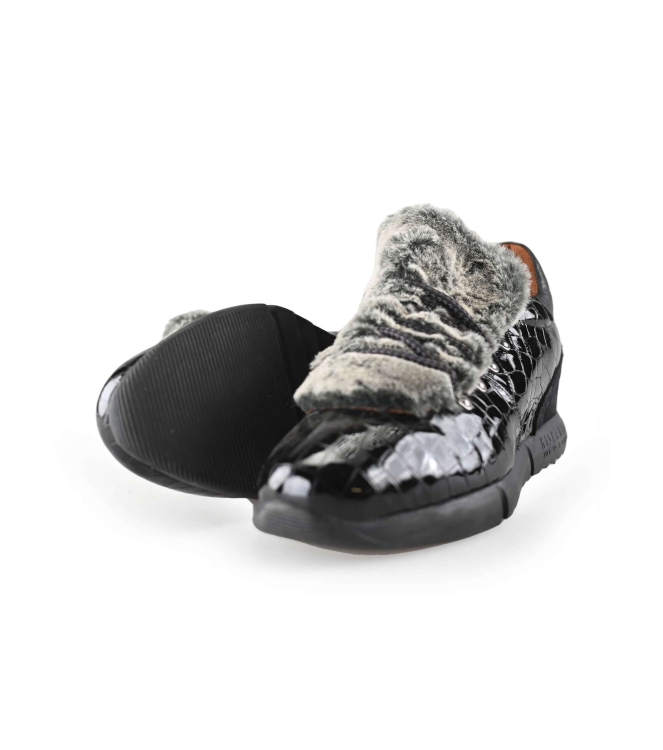 Hispanitas Instappers