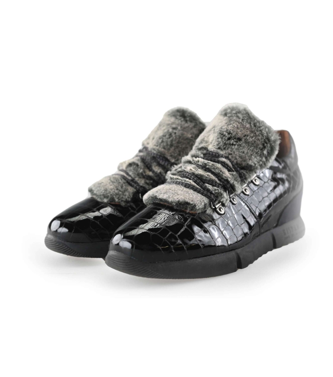 Hispanitas Instappers