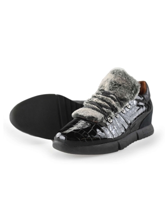 Hispanitas Instappers