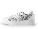 Nero Giardini Sneakers