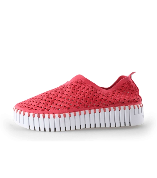 Ilse Jacobsen Instappers