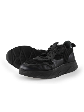 Steve Madden Sneakers