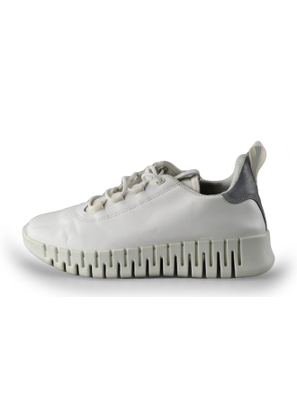 Ecco Sneakers