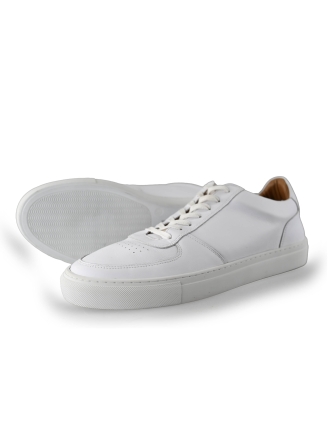 Stefano Lauran Sneakers