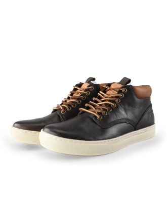 Timberland Hoge sneakers