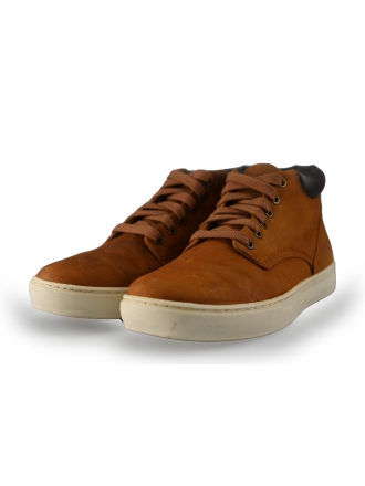 Timberland Sneakers