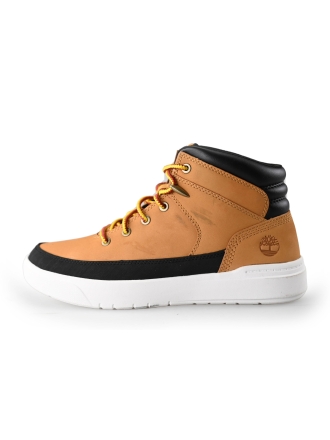 Timberland Sneakers