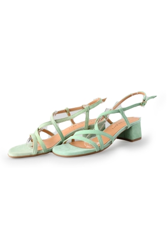 Hampton Bays Sandalen Groen 237529