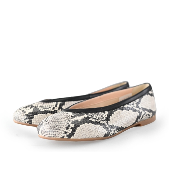 Linea Zeta Ballerina's