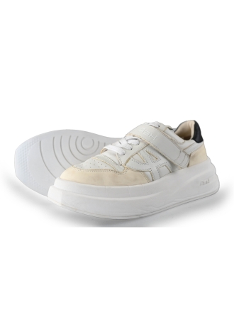 ASH Sneakers