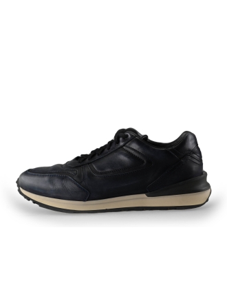 Greve Sneakers Zwart 239678