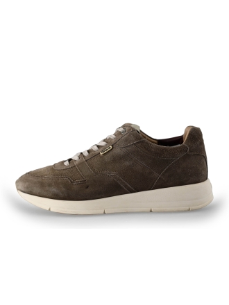 Greve Sneakers Bruin 239732
