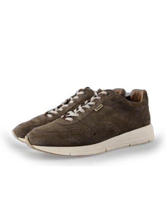 Greve Sneakers Bruin 239732