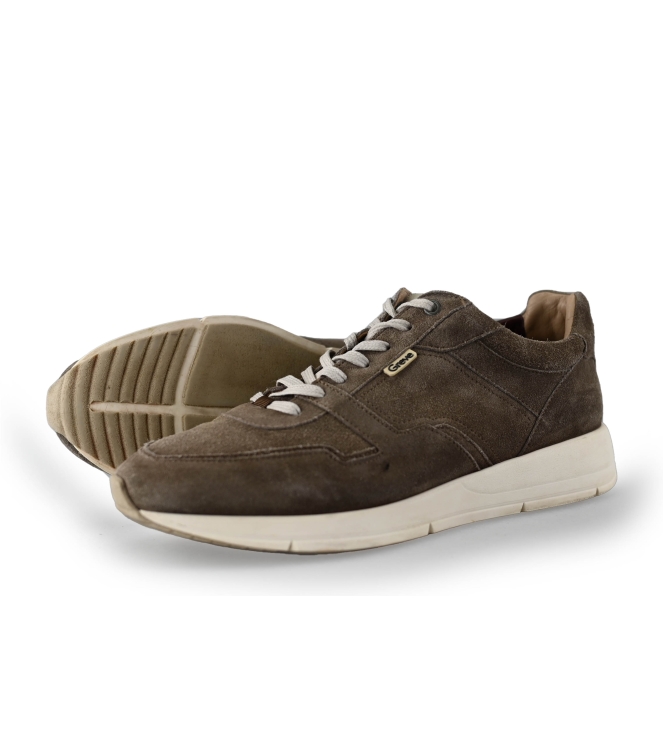 Greve Sneakers
