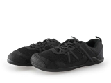 Xero Sneakers