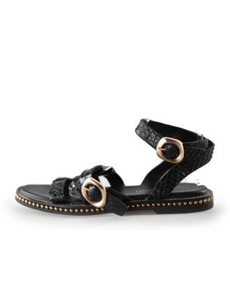 Noa Harmon Sandalen Zwart 241885