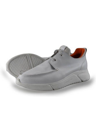 Reinhard Frans Sneakers